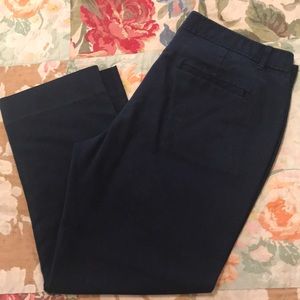 GAP Navy Bi-Stretch Skinny Crop - Women’s 14